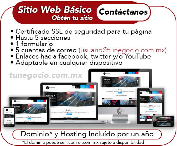 Promo Sitio Web